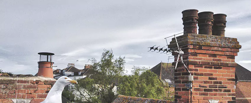 Chimney Cleaning And Restoration in Riverside, Ohio